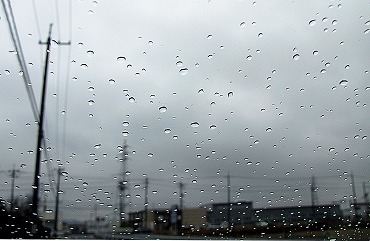 0219雨模様 -01 _1725-s.jpg